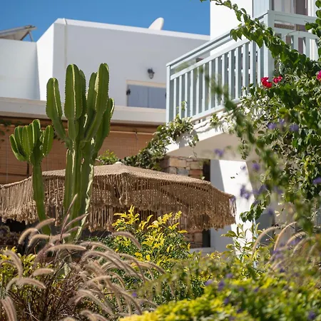 Aeolos 4* Куфонисия