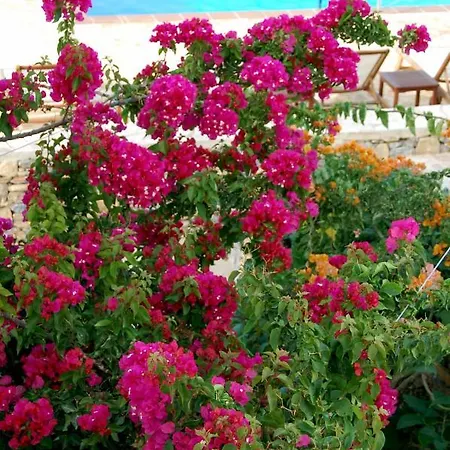 Aeolos