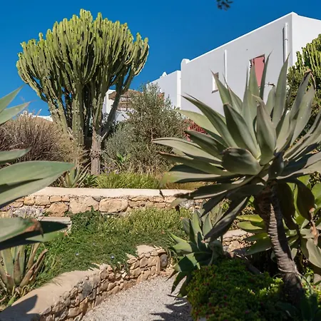 Aeolos 쿠포니시아