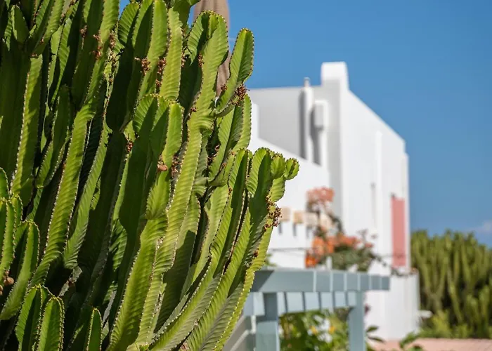 Hotel Aeolos Koufonisia