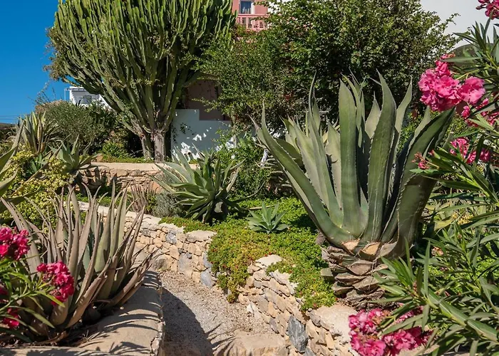 Aeolos 4* Koufonisia